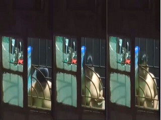 Desi Girl Boobs Video Captue