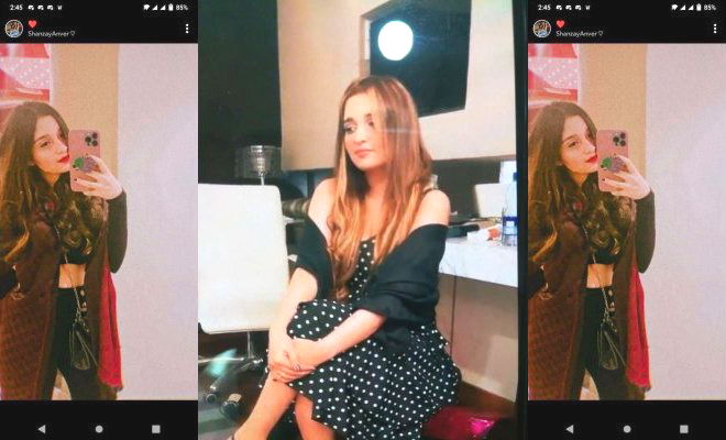 Sexy Desi girl Shows Her Boobs and Pussy